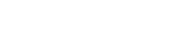 Apple Premium Technical Partner